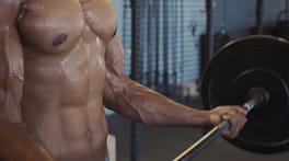 muscle